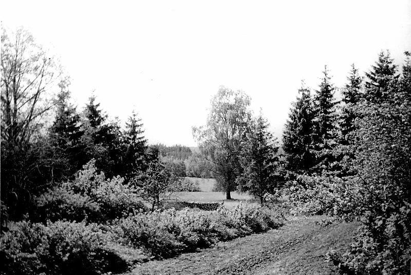 Veskirahva aed, suvi 1958..JPG
